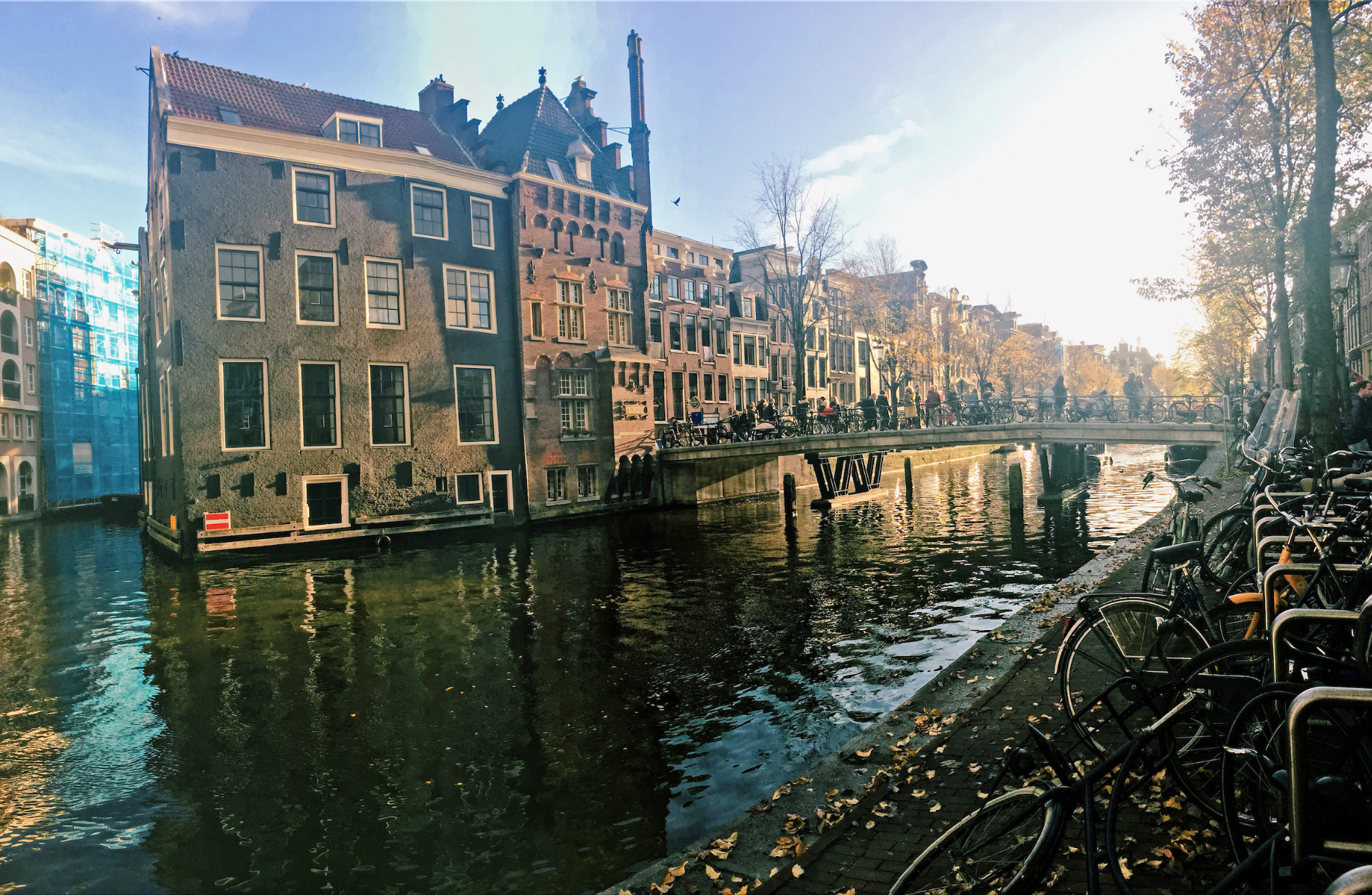 row of houses along the far side of a canal and rows of bicycles on the closer side