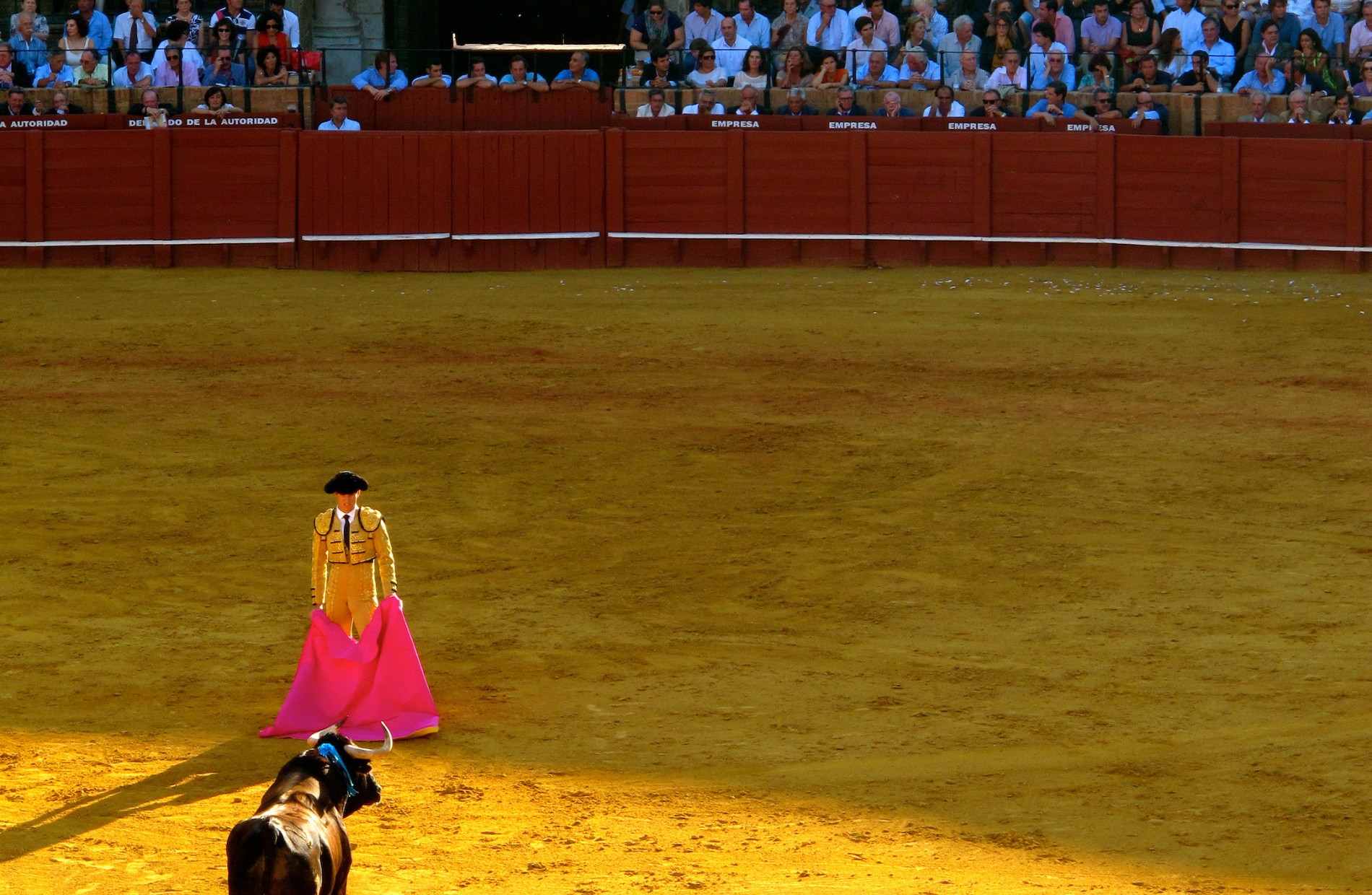 matador and bull in a ring