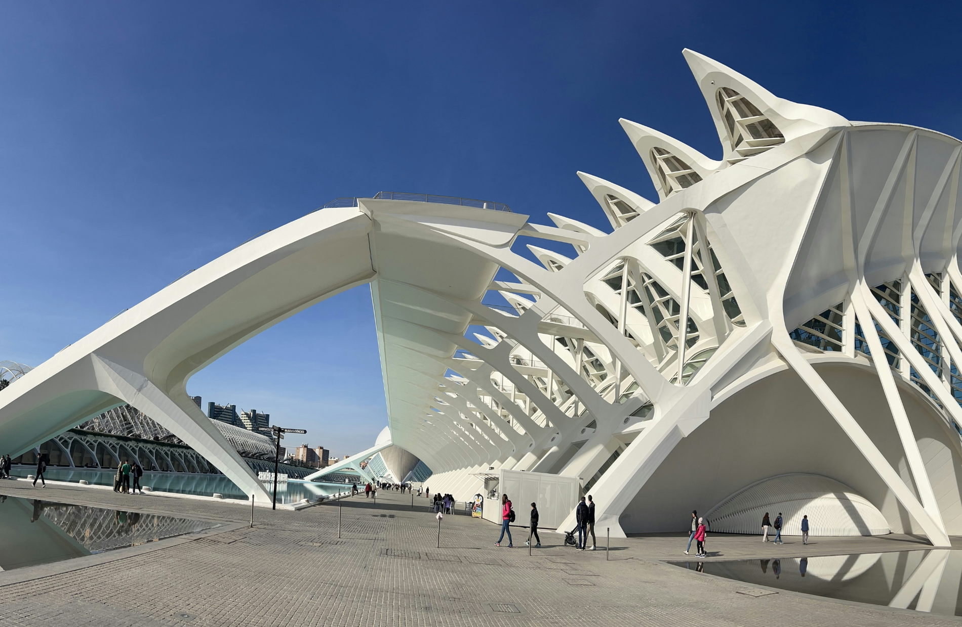 a large white futuristic building next to a pool of water