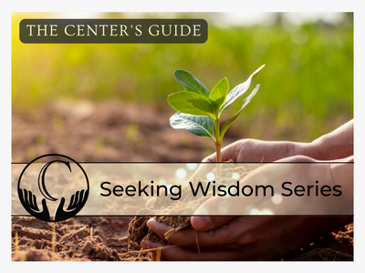 CEIE-Seeking-Wisdom-Series-graphic