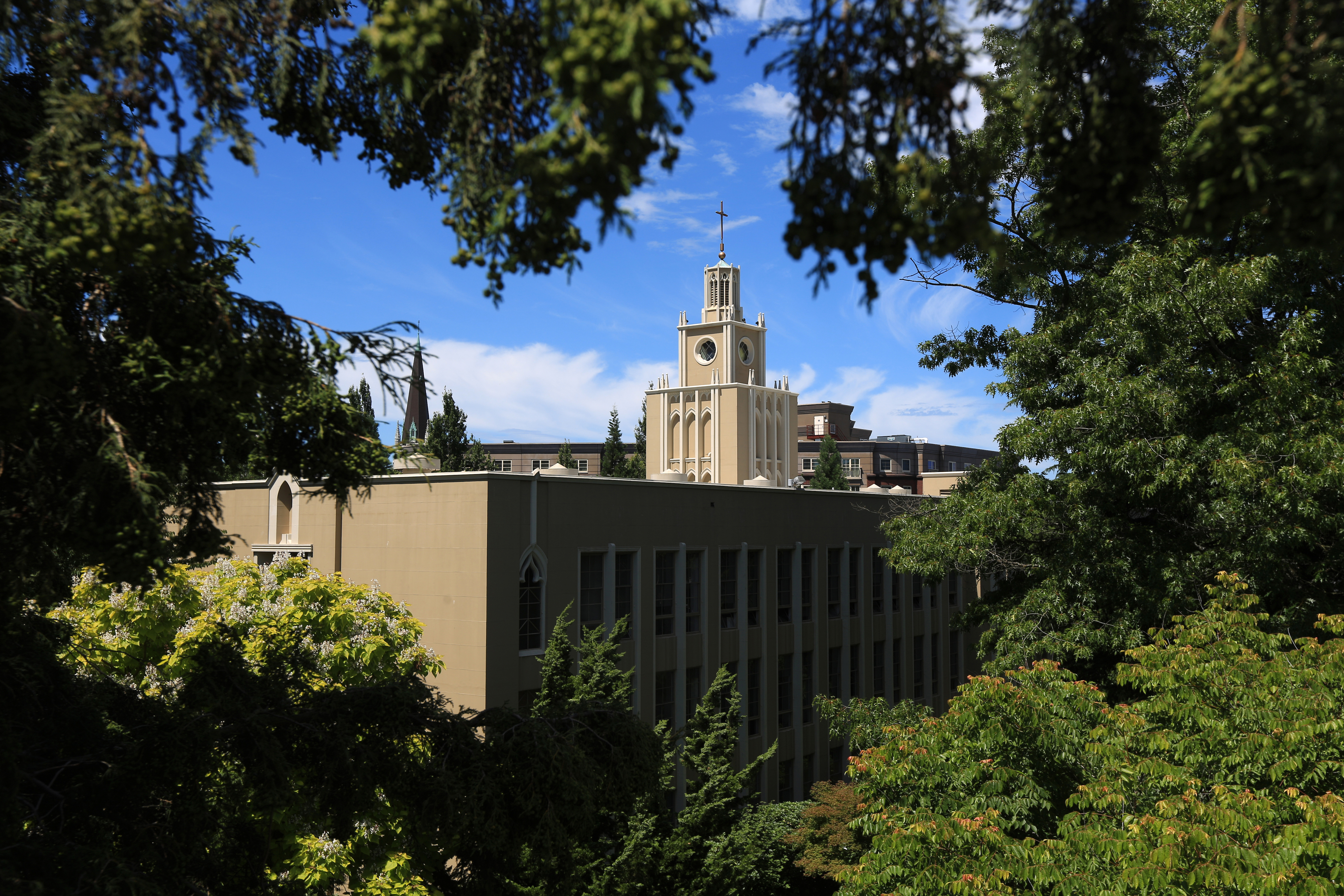 Wide shot of admin building framed by trees