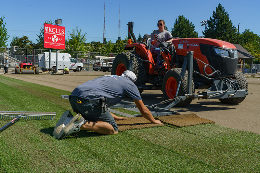 soccer field person putting down sod