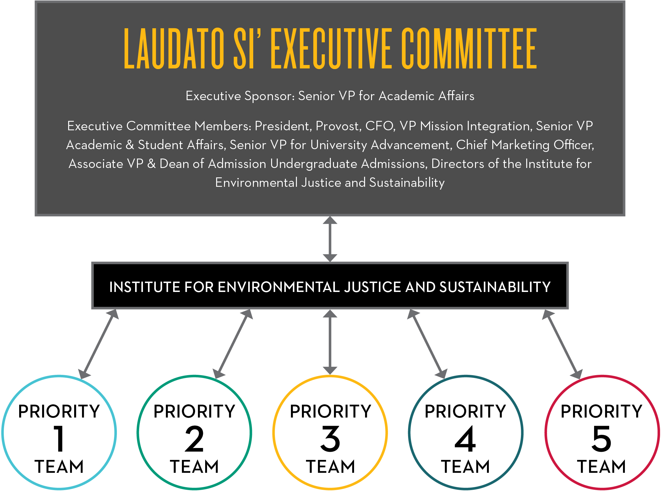 Laudato Si' Executive Commitee: Executive Sponsor: Senior VP for Academic Affairs; Executive Committee Members: President, Provost, CFO, VP Mission Integration, Senior VP Academic & Student Affairs, Senior VP for University Advancement, Chief Marketing Officer, Associate VP & Dean of Admission Undergraduate Admissions, Directors of the Institute for Environmental Justice and Sustainability