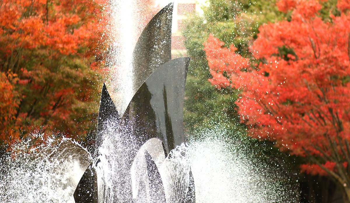 An image of a fountain in the fall.