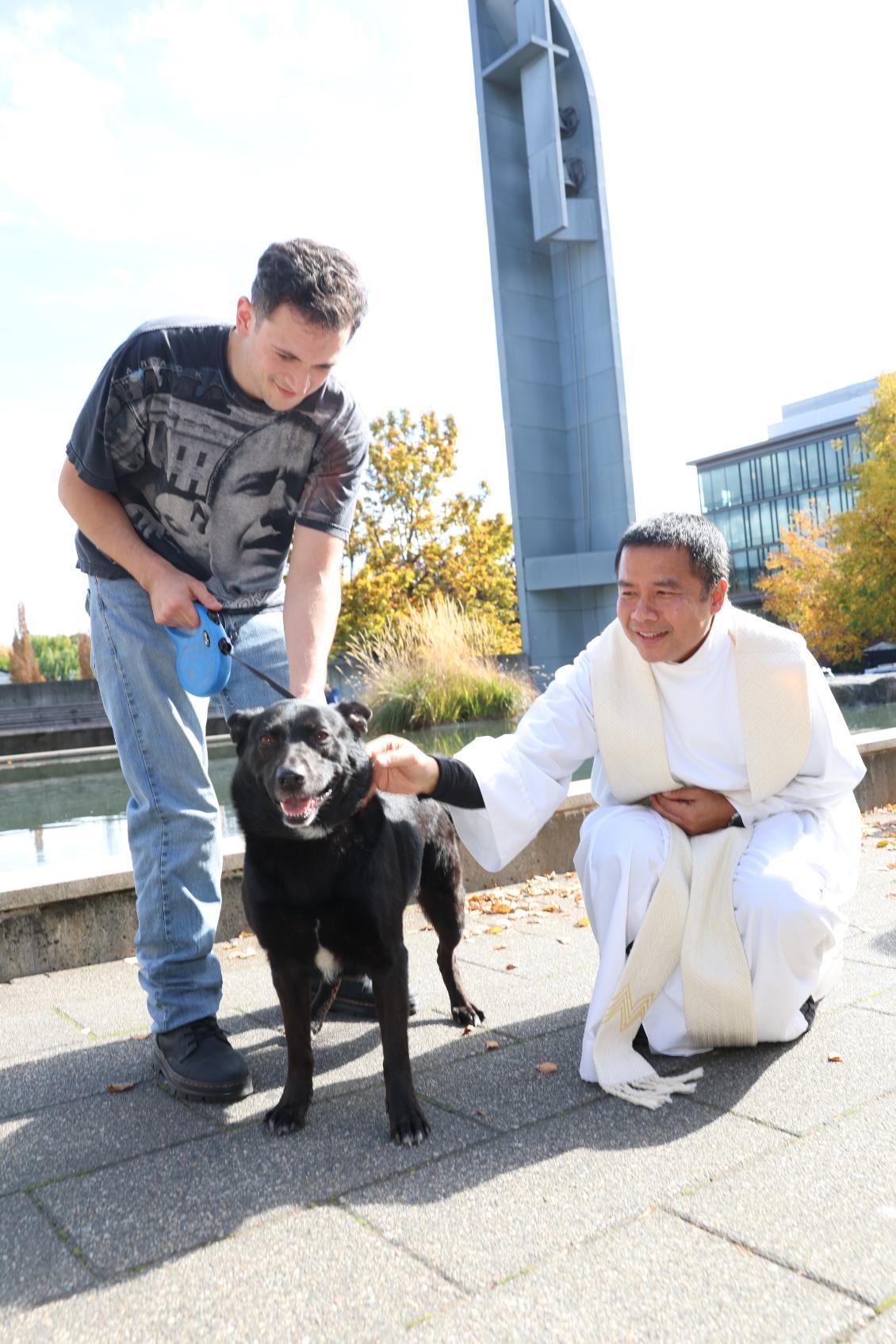 Blessing Animal dog kneeling.jpeg