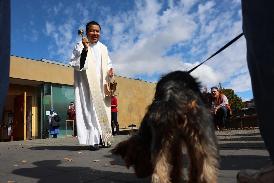 Blessing of Animals priest.jpeg