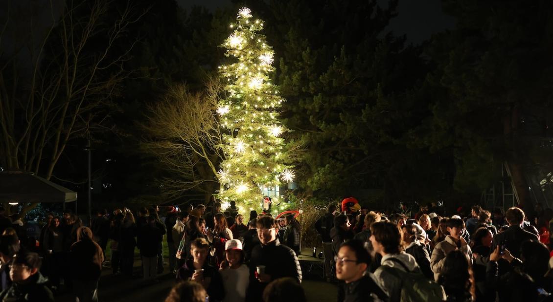 tree lighting with the crowd in front of lit tree