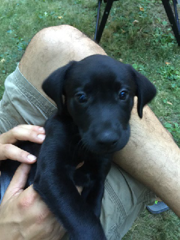 Griffey as a puppy