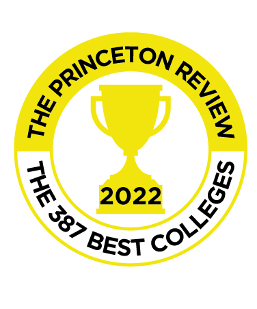Image for Princeton Review