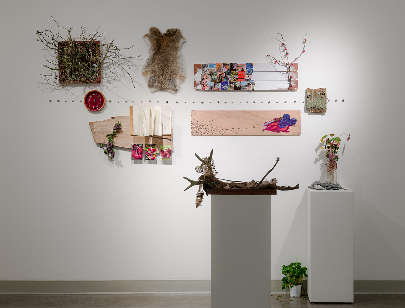 Photograph of work by Maggie Brown installed in the Vachon Gallery