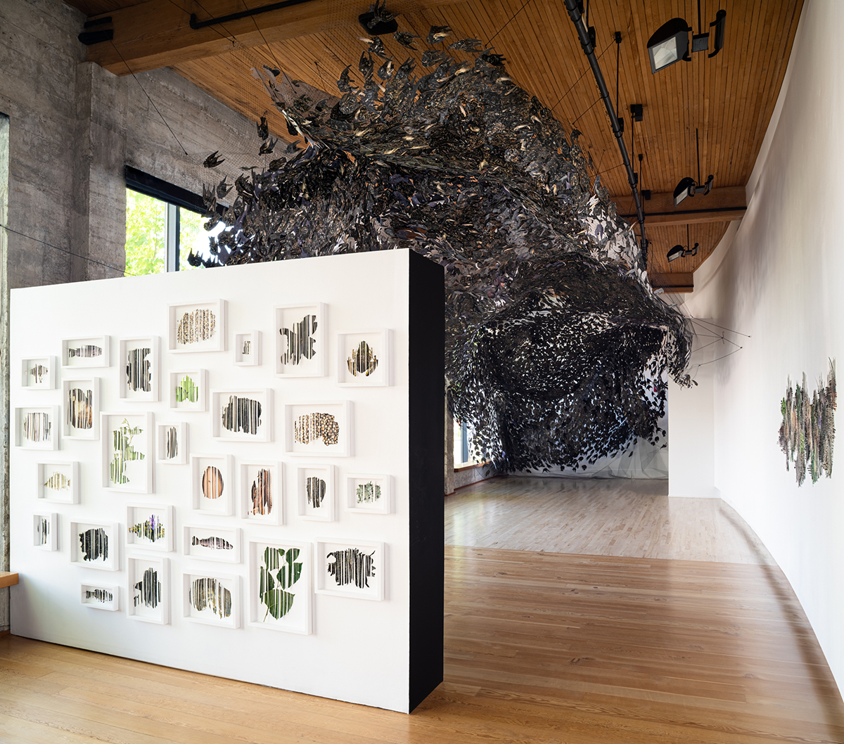 Image of an exhibition of installation art and works on paper by Markel Uriu, installed at Hedreen Gallery