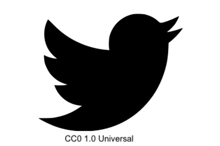 twitter logo wide