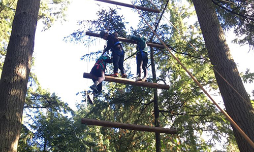 Students climbing a large ladder