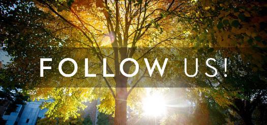 A photo of sunlight seeping through the fall leaves of a tree with the words follow us written over it