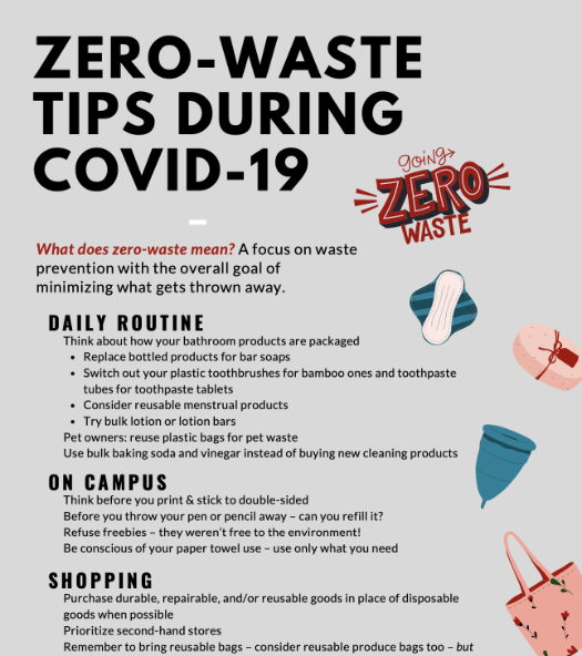 screenshot of infographic with info about zero waste tips