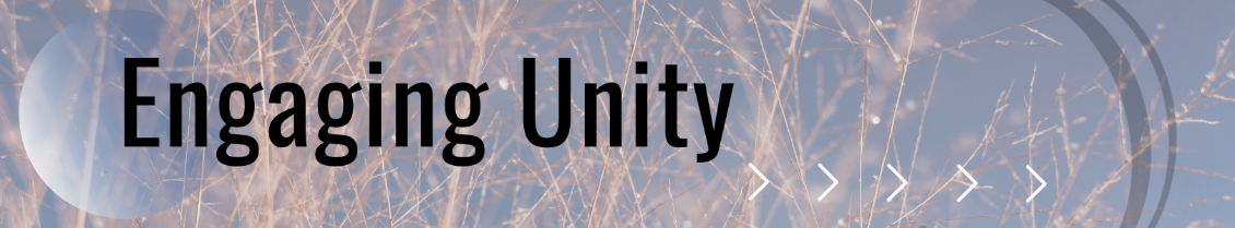 Engaging Unity 1080x400