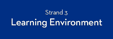 MIT Strand 3: Learning Environment