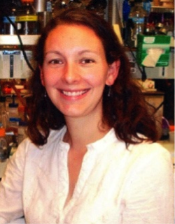 Photo of Carolyn Stenbak, Ph.D.