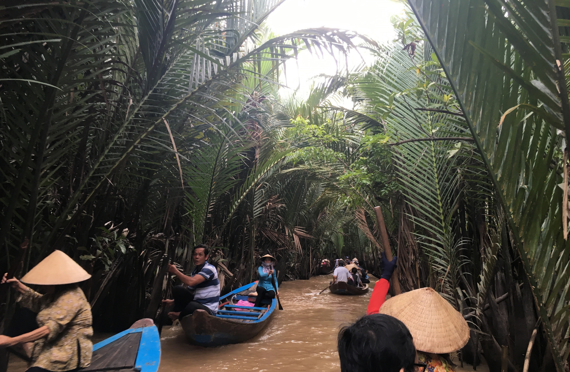 people riding in boats on a river with tall palm-like trees on each side