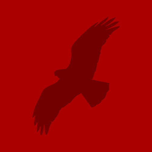 500x500-redhawk.jpg