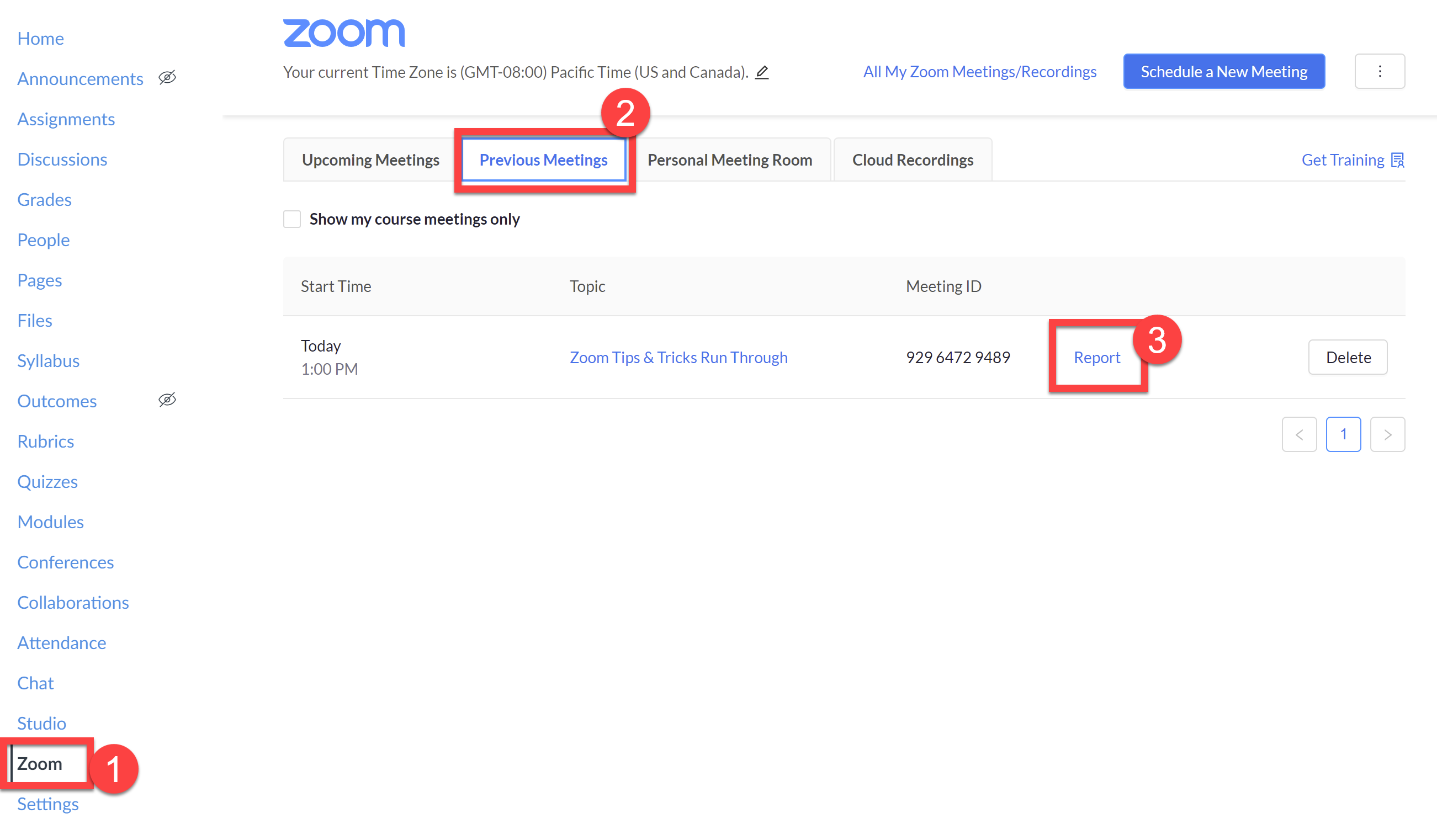 Screenshot showing how to access usage reports in Zoom Canvas integration