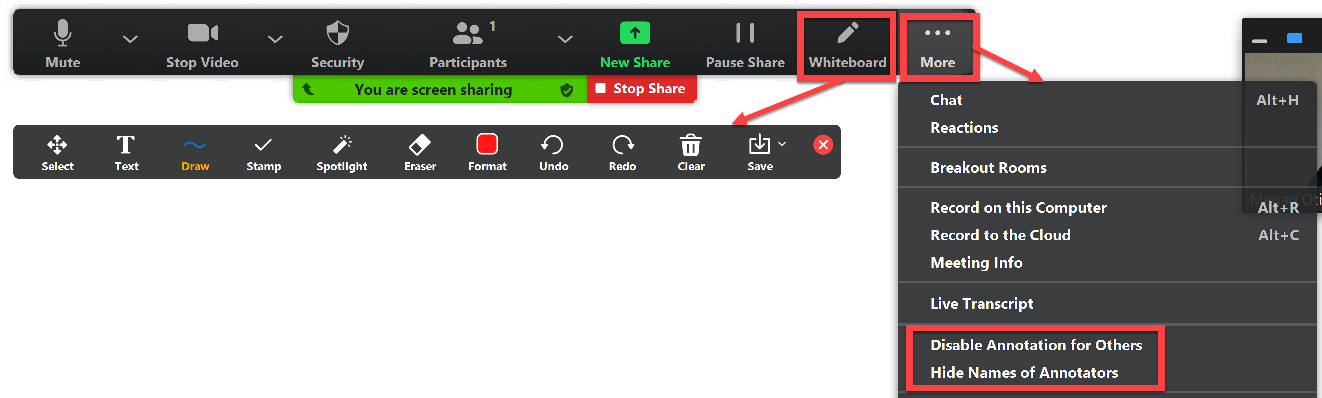 Screenshot of Zoom Meeting Controls and Zoom Annotation Tool