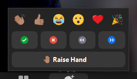 Screenshot of Zoom reactions