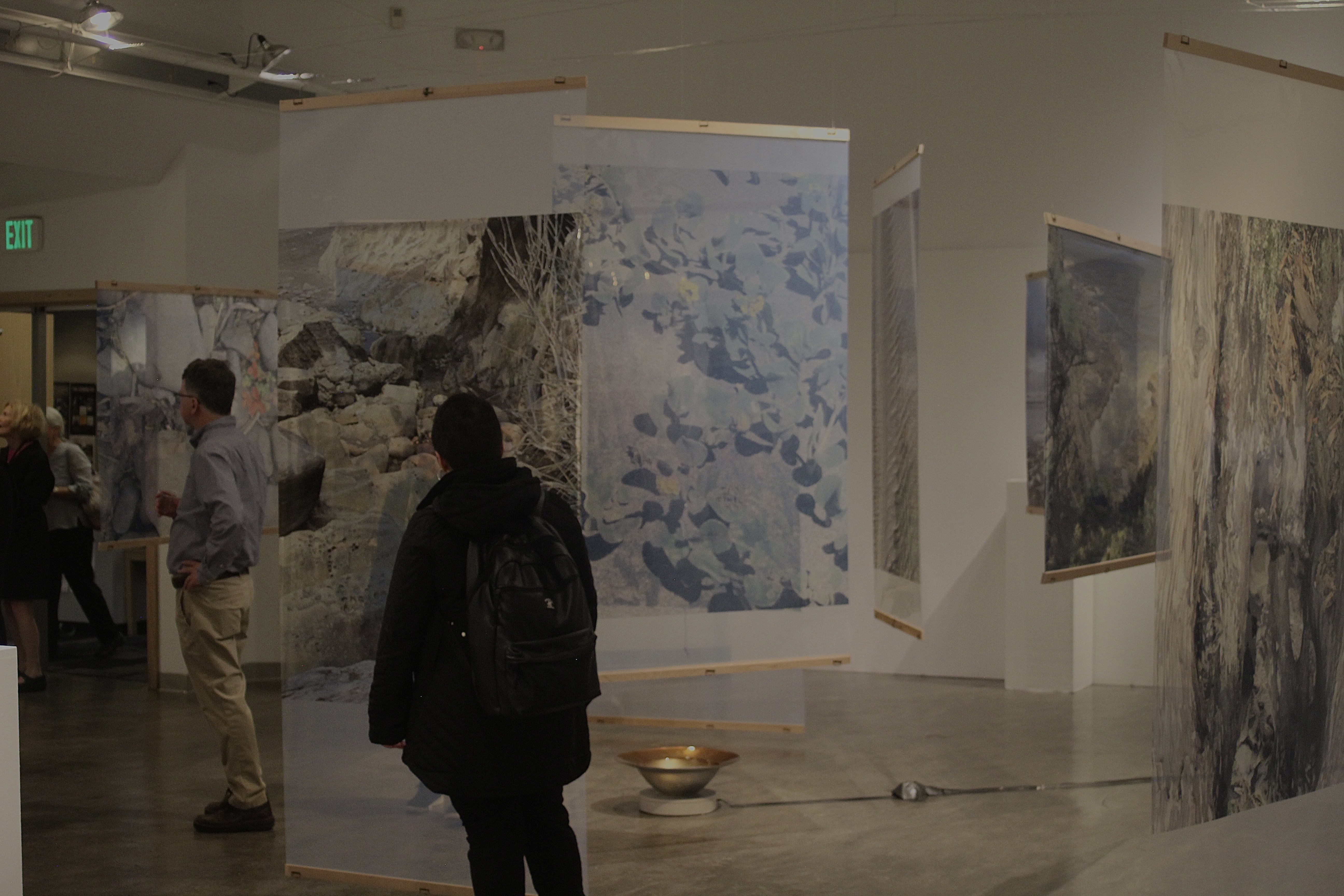 person standing in front of semi-translucent prints of nature hanging from the ceiling