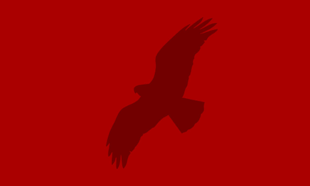 A silhouette of an eagle on a red background.