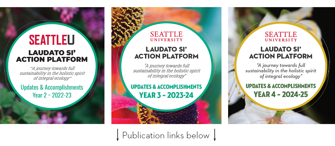 LSAP Brochures Graphic with the three covers of the yearly publications