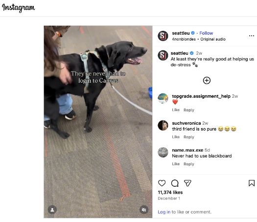 Destress with dogs social