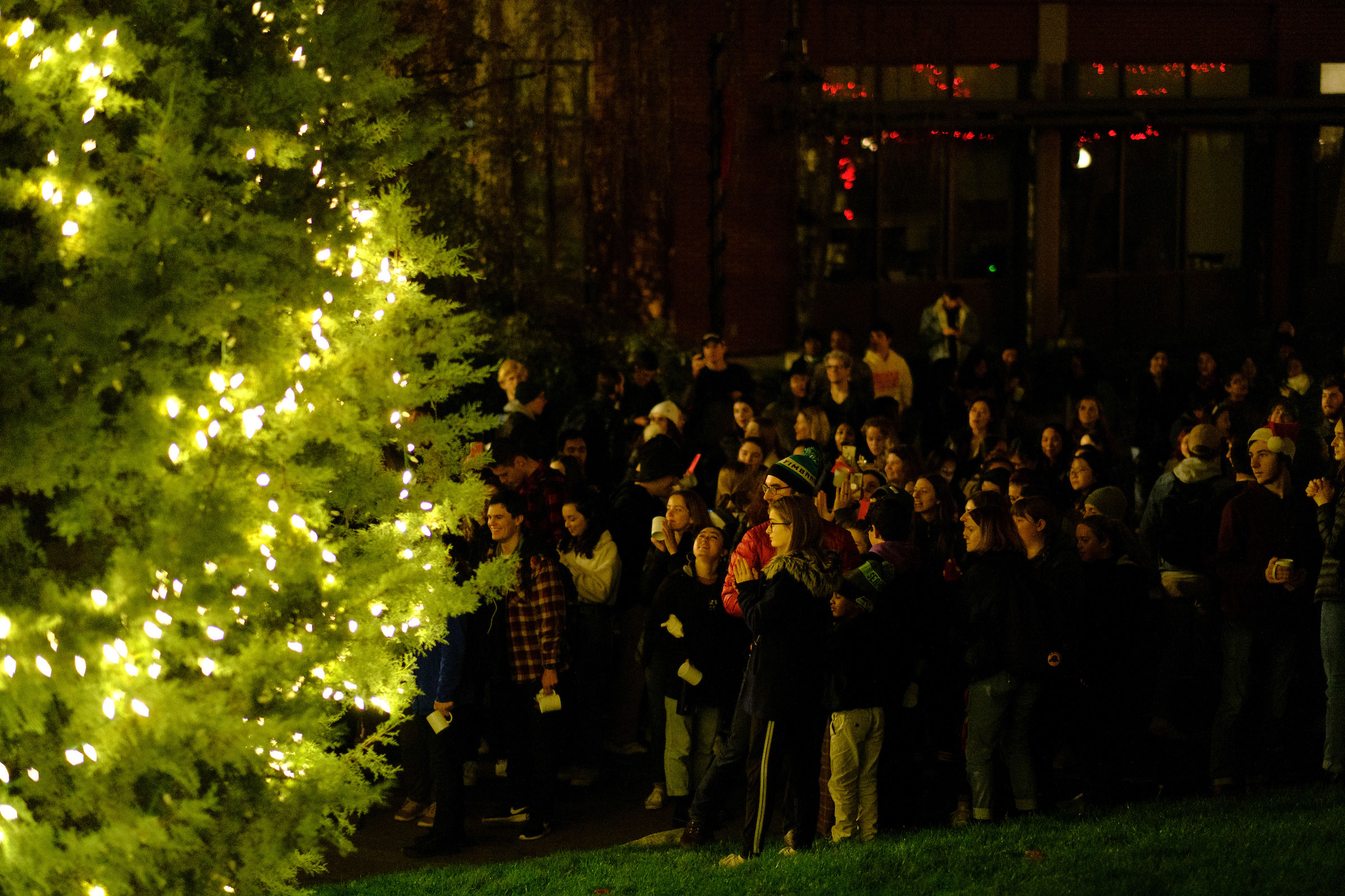 a crowd of students lit by the glow of the campus Christmas Tree