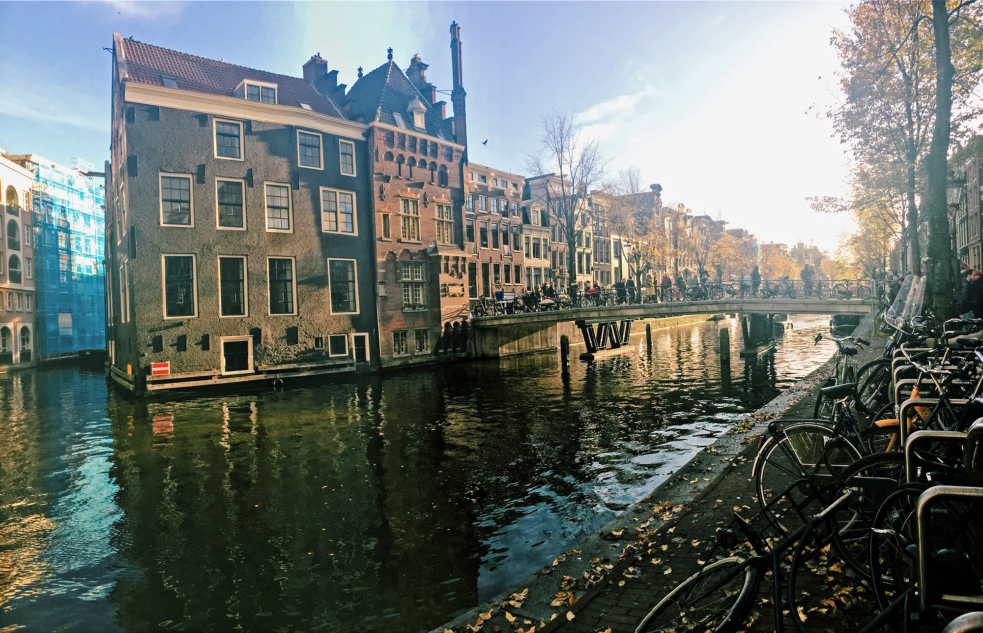 a canal lined with bicycles in autumn