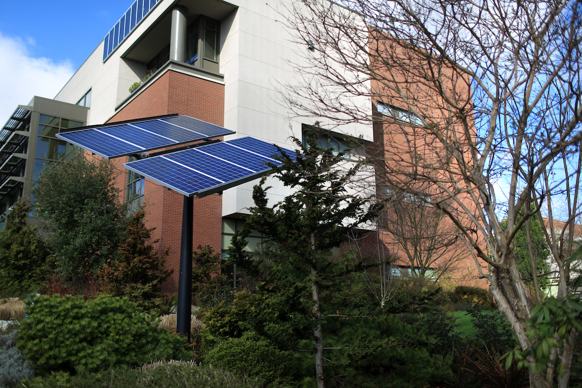 Solar panels on campus