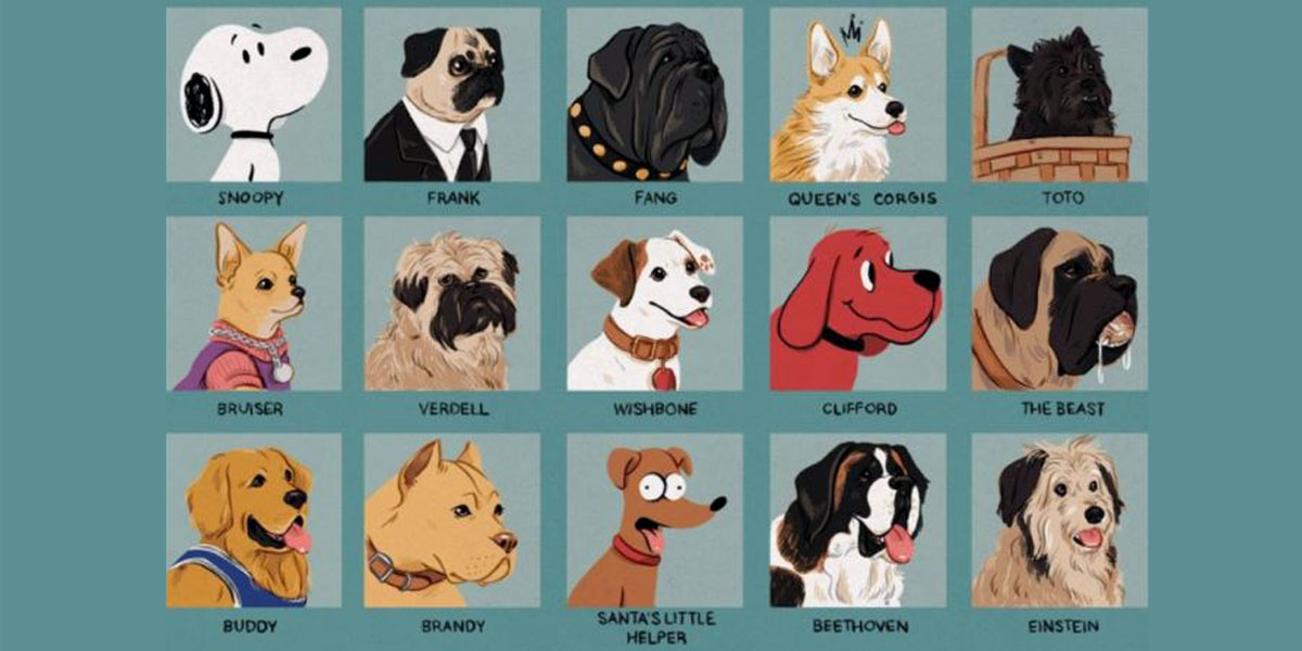 Illustration of different dogs with their names underneath each image.