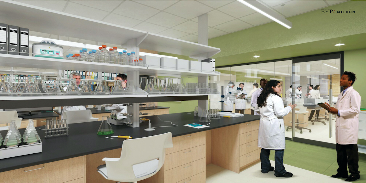 Artist rendering of lab in the new Sinegal Center.