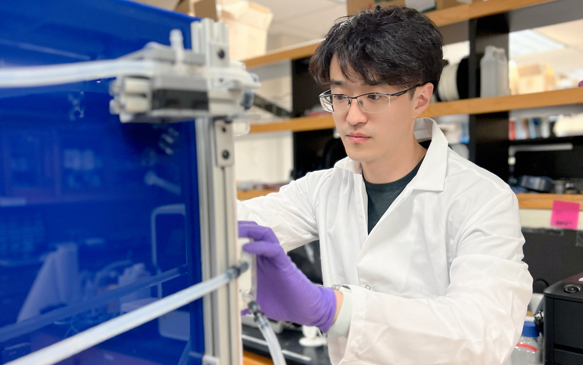Professor Shen Ren researching in a lab at Seattle U.