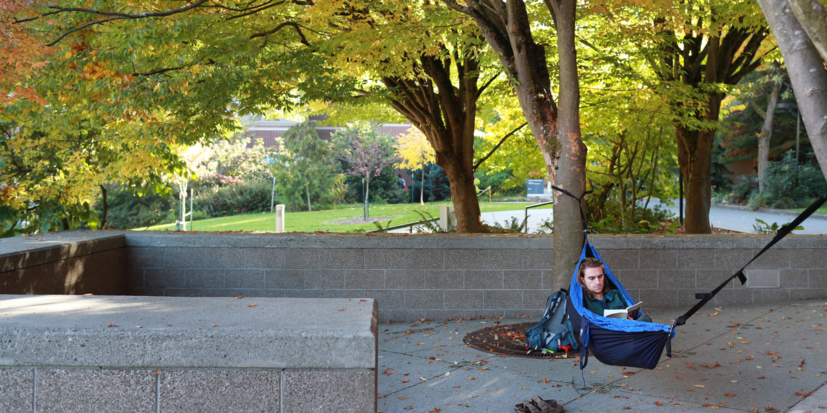 Student reading in a hammock between trees at the Quad