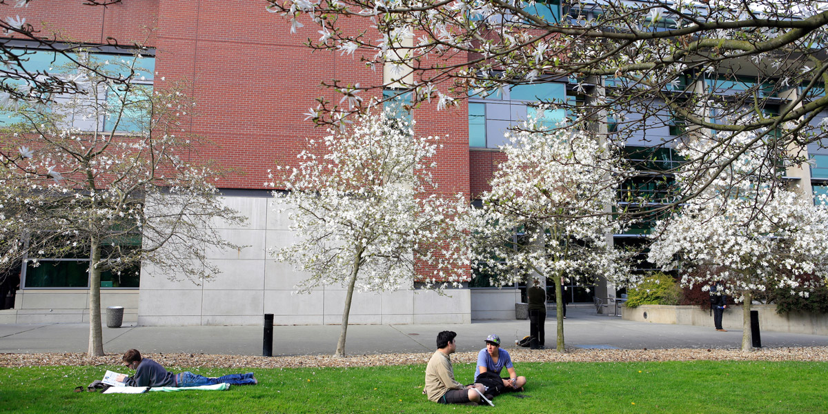 students lounging on the grass to the side of Sullivan Law School